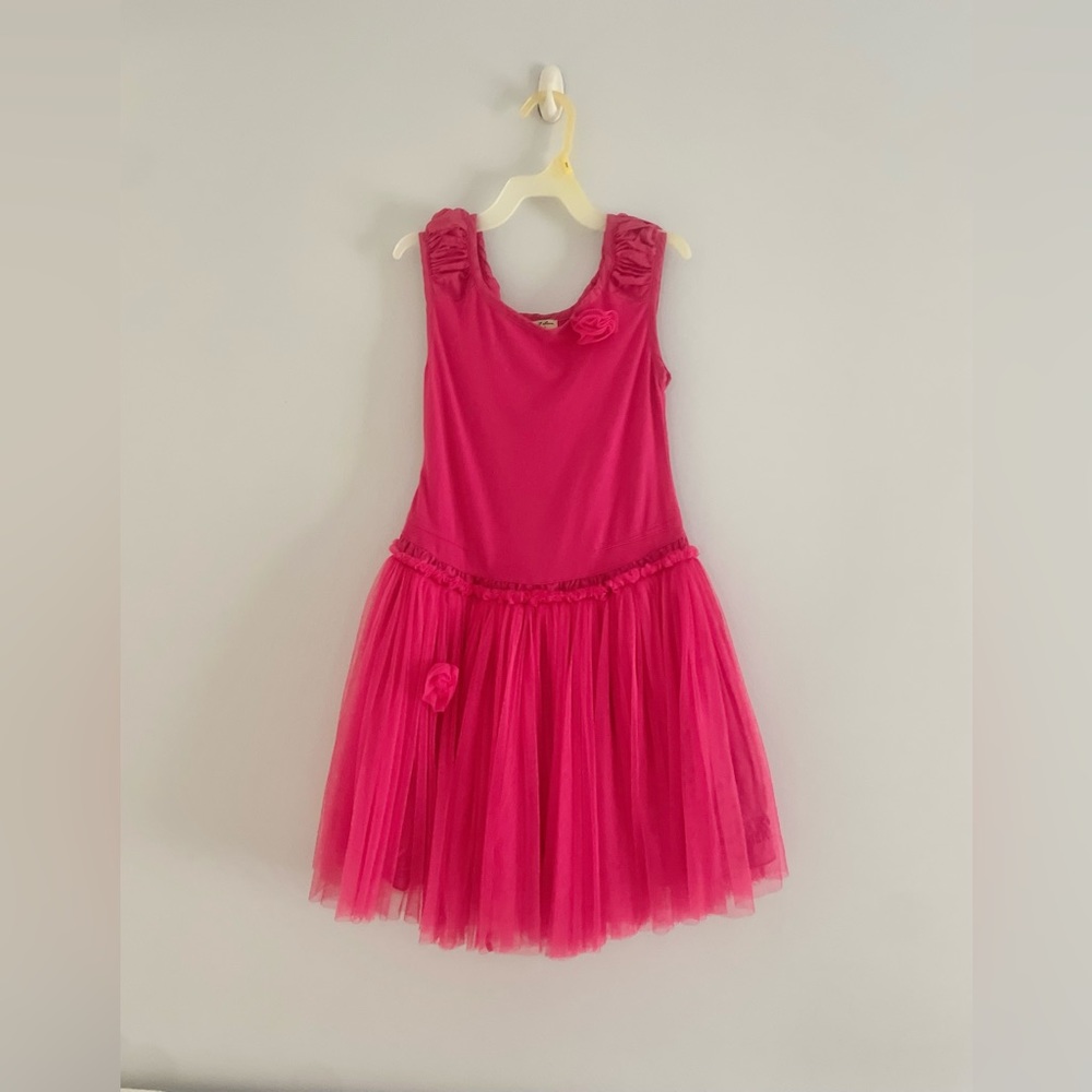 NEW Eliane et Lena(Paris) Pink Tulle Dress with Roses